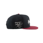 Boné DGK x Bruce Lee Balance Snap