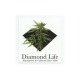 Adesivo Diamond Homegrow - (10cm x 9,5cm)