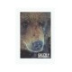 Adesivo Grizzly Urso Photo - (11,5cm x 7,5cm)