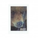 Adesivo Grizzly Urso Photo - (11,5cm x 7,5cm)