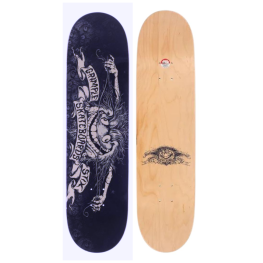 Shape Anti Hero Hewitt Grimple Stix Logo 8.06
